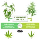 MERU CBD Kannabisz Krém - 150ml